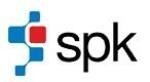 12spk_logo spk_logo